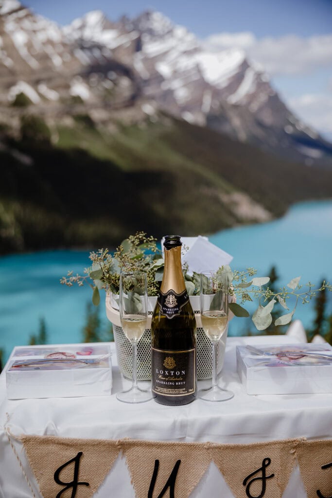 Beautiful picnic  set up with mountain and lake views in the background