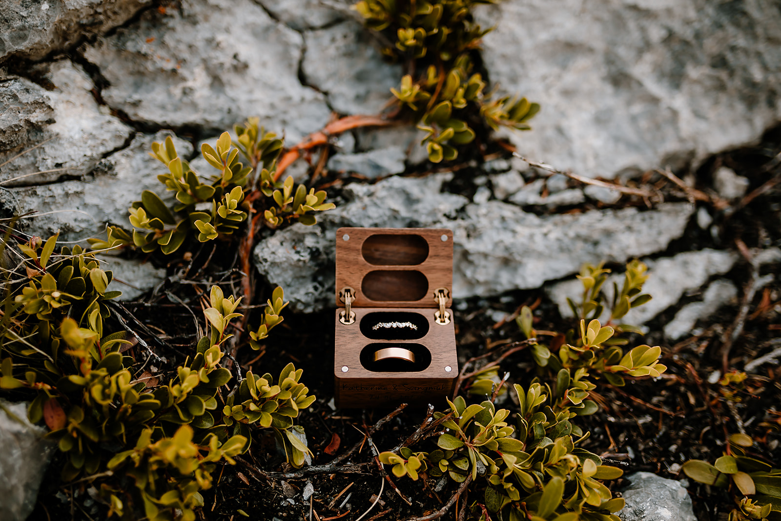 Close-up of wooden vow booklets resting on the ground among moss and alpine vegetation.